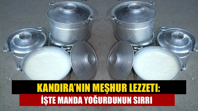 Coğrafi işaret tescilli Kandıra Manda Yoğurdu, doğal lezzeti ve geleneksel