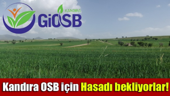 Kandıra Gıda İhtisas OSB’de Danıştay Başkanları Kurulu gerekçeli kararı yazmak