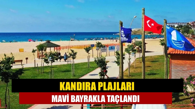 Kocaeli'de 2025 yılı Mavi Bayrak ödülünü alan 9 plajdan 7’si