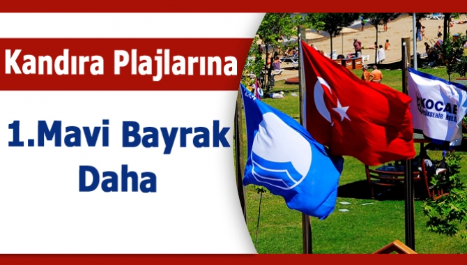 Kocaeli’de bu yaz Kandıra sahilinde 2 ve İzmit Körfezi’nde 1