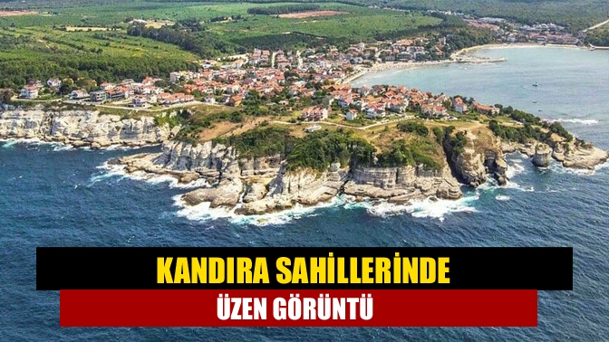 Kandıra Kerpe kayalıklarında ölü yunus balığı kıyıya vurdu
