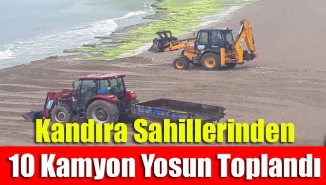 Büyükşehir Belediyesi ekipleri Kandıra sahillerinde gerçekleştirdiği temizlik çalışmaları kapsamında, bir