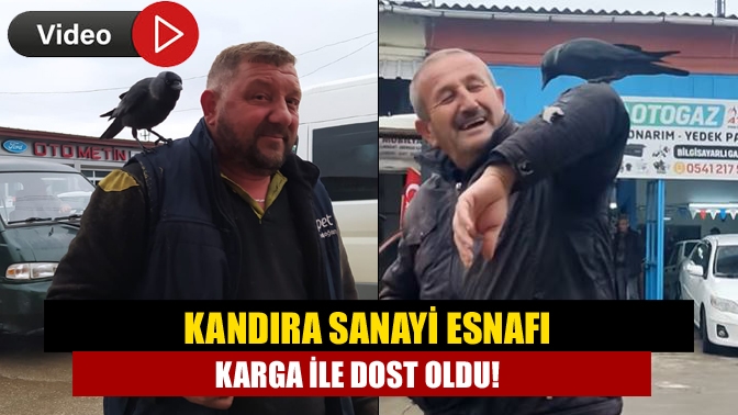Kandıra Sanayi Sitesinde dolaşan bir karga, kendisine ekmek ve su