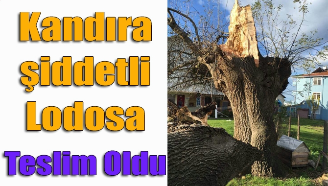 Kandıra’da dün gece etkili olan şiddetli fırtına, hayatı olumsuz yönde