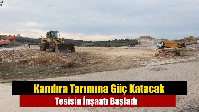 Kandıra Çalköy Mahallesi’nde 11 bin m² alanda fındık ve gübre