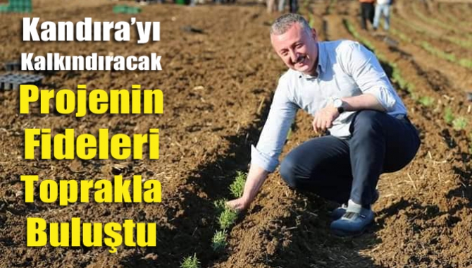 Büyükşehir Kandıra'nın köylerini kalkındıracak proje olan Tıbbi ve Aromatik Bitkiler