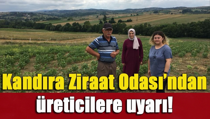 Kandıra Ziraat Odası, Şerefsungur ve Karadivan mahallerindeki üreticileri ziyaret ederek