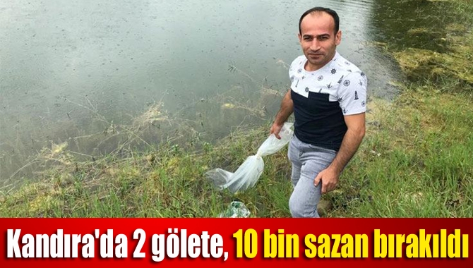 Kandıra'da bulunan 2 gölete, 10 bin adet sazan balığı yavrusu