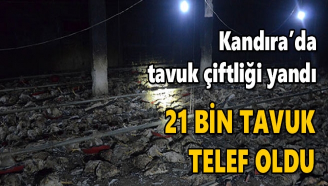 Kandıra Araman Mahallesi'nde bir tavuk çiftliğinin çatısında onarım yapılırken, kaynak