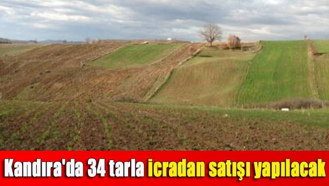 Kandıra Sulh Hukuk Mahkemesi Satış Memurluğu, Kefken’de 34 tarla için
