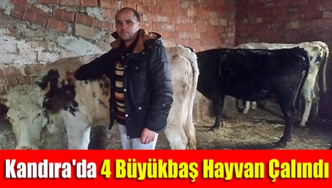 Bağırganlı köyü sakinlerinden Rıdvan Yalçın’nın  büyükbaş hayvanlarından doğum yapacak