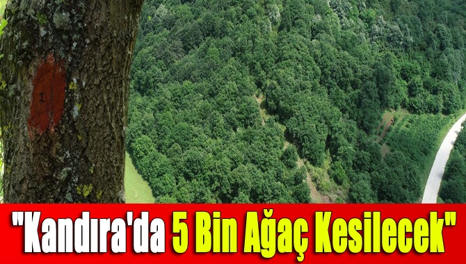 Çevre Mühendisleri Odası Kocaeli Şube eski Başkanı Sait Ağdacı, Kandıra