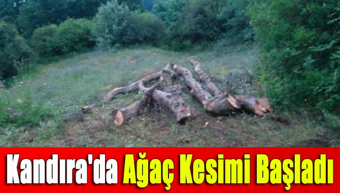 Kandıra’nın doğa olarak en güzel yerlerinden olan Babaköy, Kuzey Marmara
