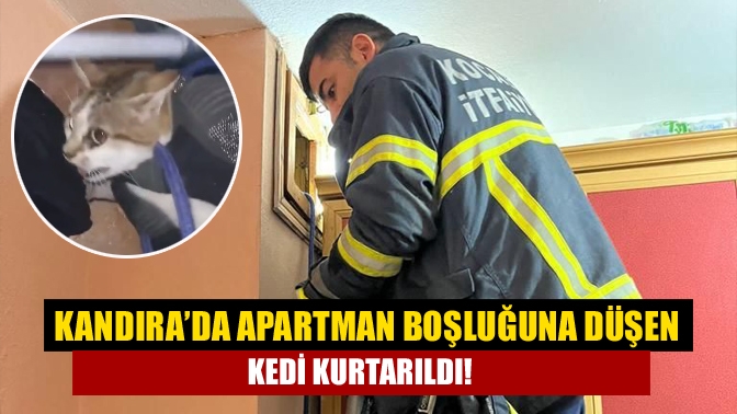 Kandıra Çarşı Mahallesinde bulunan bir apartmanın havalandırma boşluğunda mahsur yavru