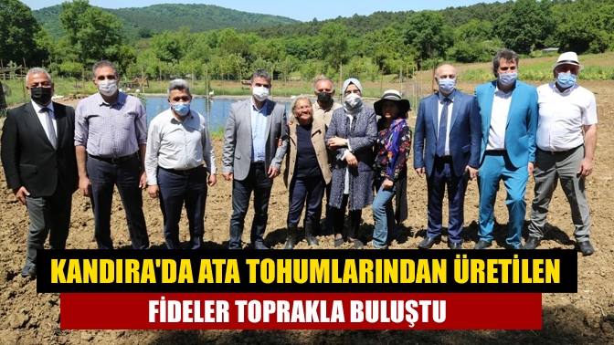 Kandıra ilçesinde ata tohumlarından üretilen biber ve domates fideleri toprakla