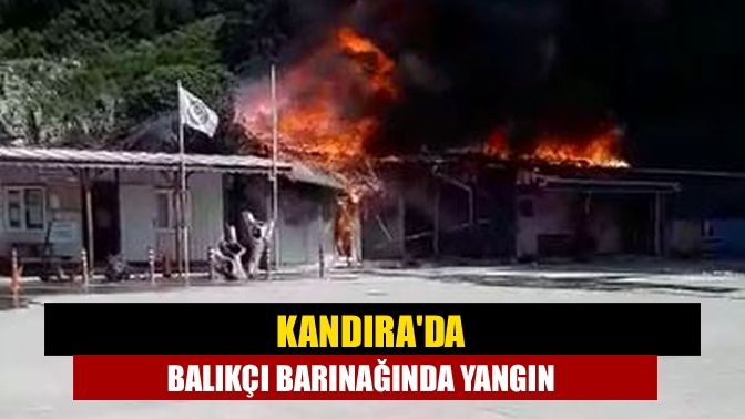 Bağırganlı Mahallesi'ndeki balıkçı barınağının buzhane kısmında çıkan yangın söndürüldü.