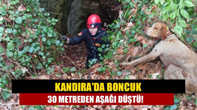 Kandıra ilçesinde, ormanda 30 metre derinliğindeki vadiye düşen köpek itfaiyeciler