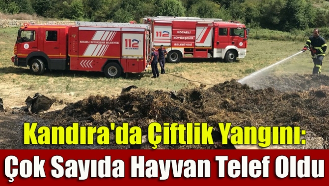 Kandıra Yağcılar Mahallesi'ndeki bir çiftlikte çıkan yangında, 8 bin hindi