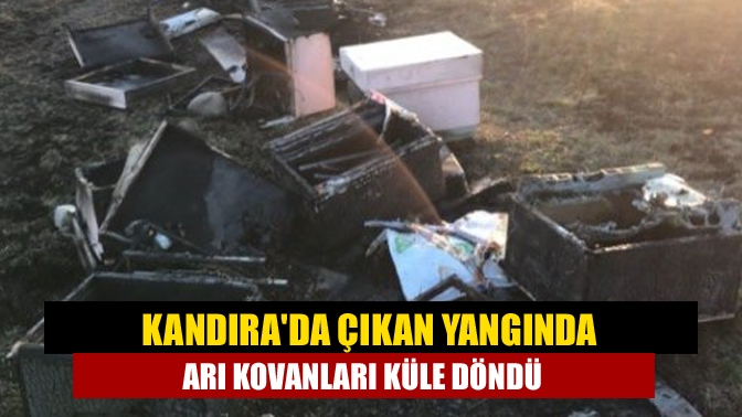 Kandıra Akıncı köyü İshaklar Mahallesinde arı kovanlarının bulunduğu alanda yangın