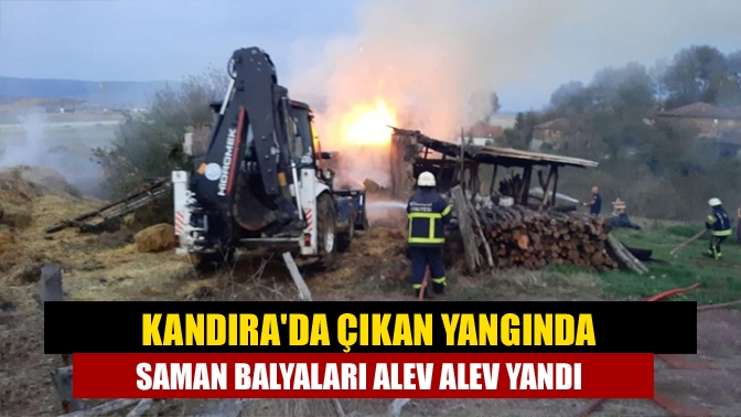 Kandıra Kocakaymaz Köyü Aksakallar mevkiisinde önceki gün çıkan yangında, yüzlerce