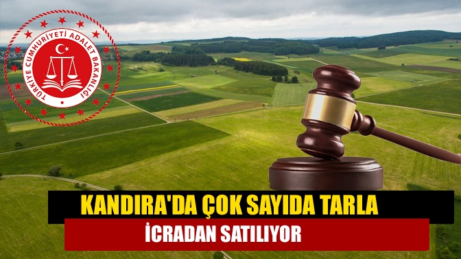 Kandıra Kocakaymaz'da 55 adet tarla vasıflı taşınmaz mahkemeden satılıyor. 26-27
