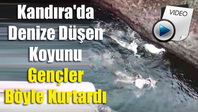 Kandıra Babalı sahilindeki kayalık alana balık tutmak için giden Karaağaç
