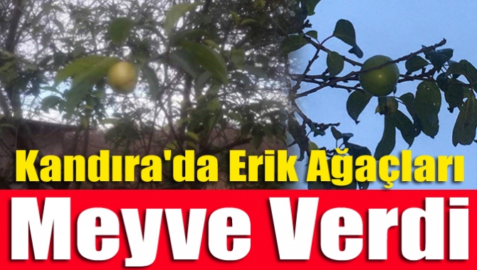 Aralık ayında olmamıza rağmen sıcaklıkların mevsim normallerinin üzerine seyretmesi nedeniyle