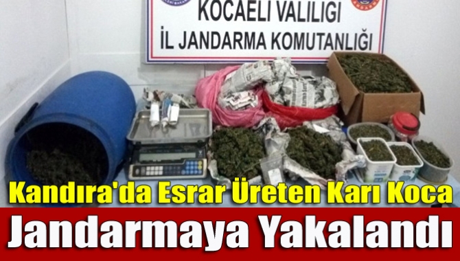 Kandıra'da evde ürettikleri iddia edilen esrarı traktörle satmaya giden şahıs