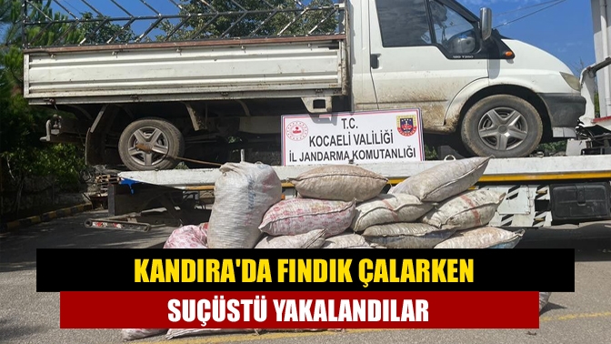 Kandıra'da çuvallanmış halde bahçede duran 1 ton fındığı çalmaya çalışan