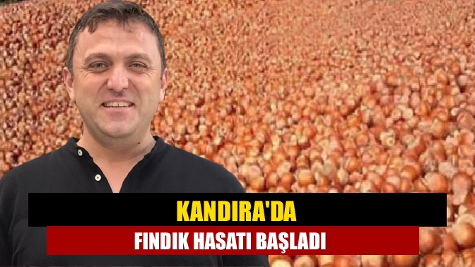 İlçemizde önde gelen tarımsal ürünlerden biri fındık. Bir senedir hazırlıklarını