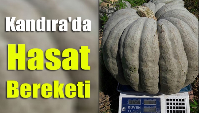 Kandıra’nın bereketli toprakları tazecik meyve ve sebzeleri sunmaya devam ediyor