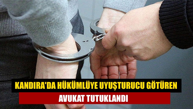 Kandıra 1 No'lu F Tipi Kapalı cezaevindeki hükümlüye uyuşturucu götürdüğü