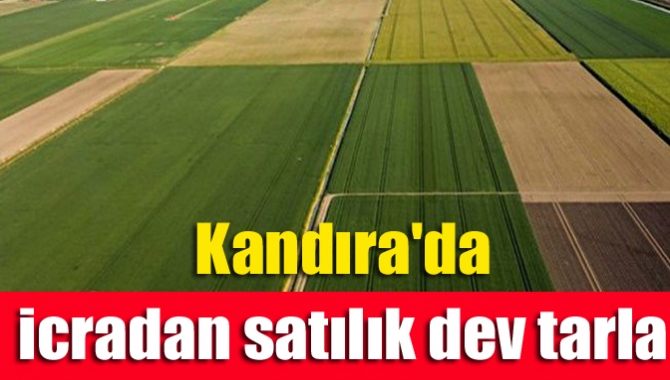 Kandıra Araman Köyünde 106 ada, 69 parselde bulunan tarla 12