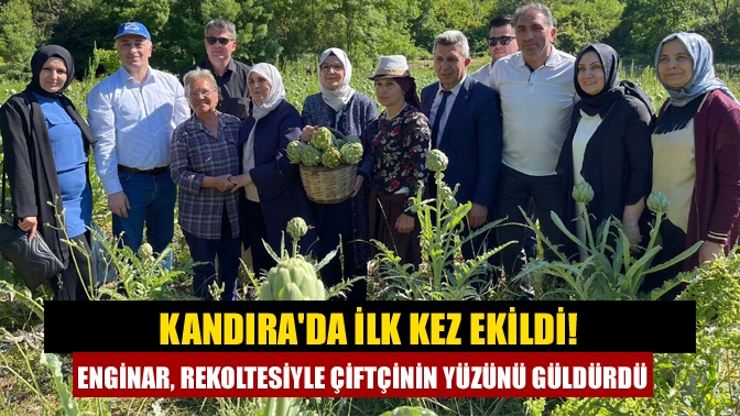 Kandıra'da atıl durumdaki arazilerde alternatif ürün olarak ilk kez üretimine