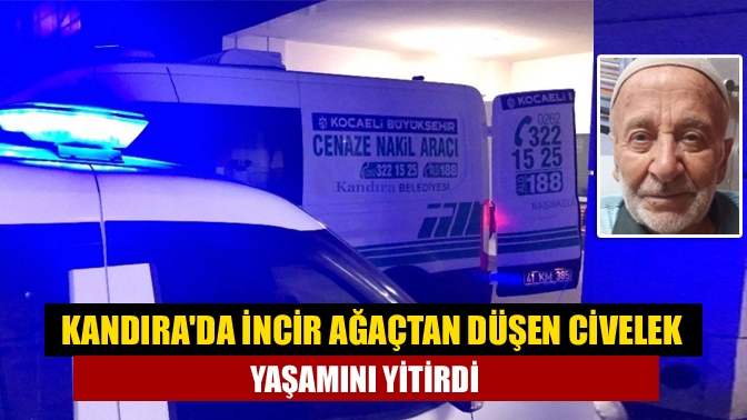 Kandıra'da incir toplarken ağaçtan düşen yaşlı adam tedavi gördüğü hastanede
