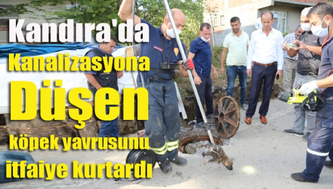 Kandıra'da kanalizasyon çukurunda mahsur kalan köpek yavrusu, itfaiye ekiplerince bulunduğu
