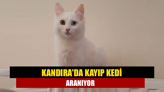 Kandıra Çarşı Mahallesi Helvacı Caddesi üzerinde oturan Gonca Yenisoy’a ait