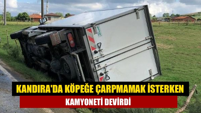 Kandıra ilçesinde seyir halinde olan kamyonet sürücüsü, önüne çıkan köpeğe