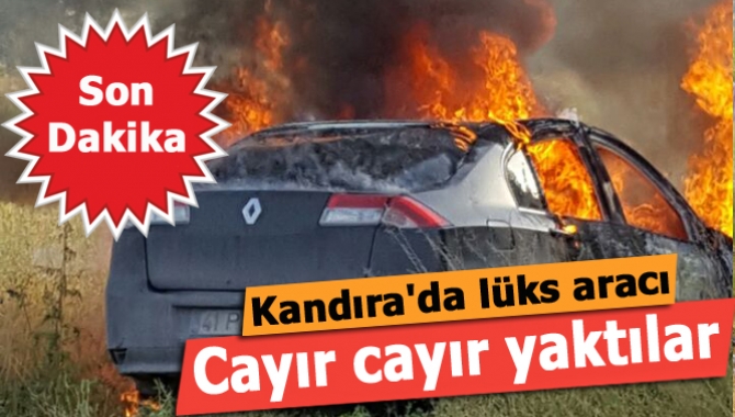 Kandıra Kaymaz Araman Köy civarında çalılıkların içinde lüks bir otomobil,