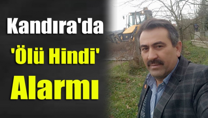 Kandıra'da yol kenarına atılan yaklaşık 30 hindi belediye ekiplerince gömülürken,