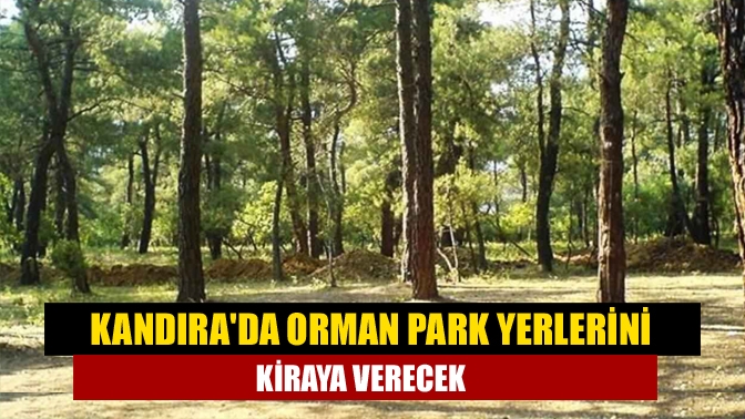 Kandıra'da bulunan orman parkı ihale ile 20 yıllığına kiraya verilecek.