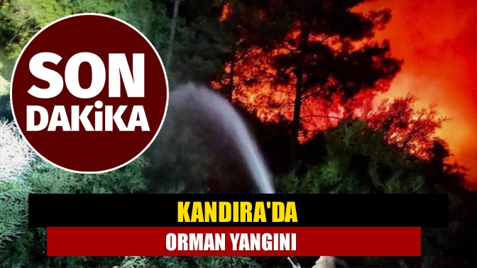 Kandıra Kefken Pembe Kayalıklar  mevkiindeki ormanlık alanda yangın çıktı.