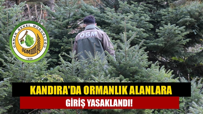 Bir çok ilde orman yangınlarını önlemek amacıyla yeni tedbirler alınıyor.