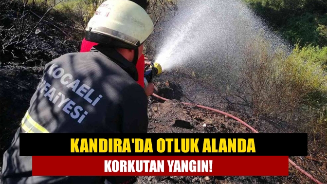 Kandıra Akdurak Mahallesi Mehmet Taner Caddesi'nde otluk alanda çıkan yangın