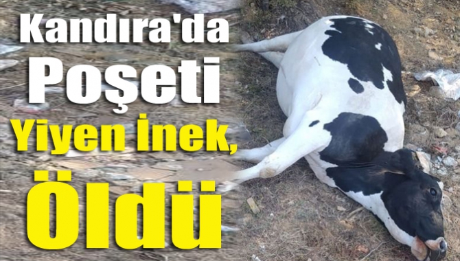 Kandıra'ya giden tatilcilerin arkalarında bıraktıkları çöplerin çevre kirliliğine neden olduğunu
