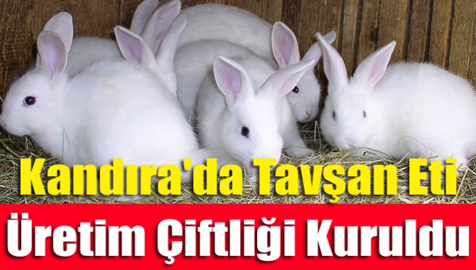 Çiftlik sahibi Faruk İnam, "Organik, besin değerleri yüksek gıda ve