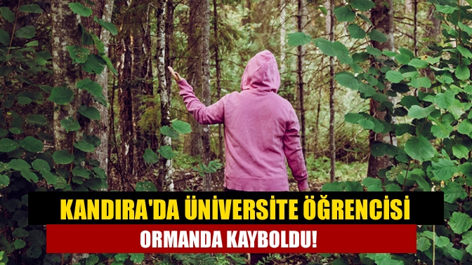 Kandıra'da  ormanlık alanda kaybolan genç, havanın kararmasıyla çıkış yolunu