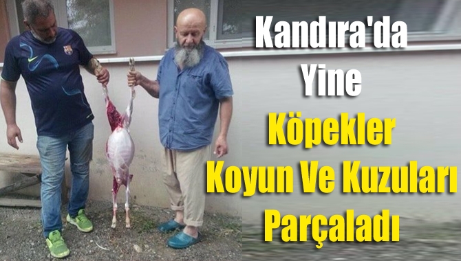Kandıra Akçabey ile Karaağaç Mahalle sakinleri son günlerde oldukça öfkeli.