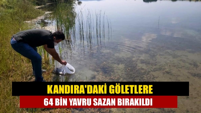 Kandıra İlçe Tarım ve Orman Müdürlüğü'nce göletlere 64 bin adet