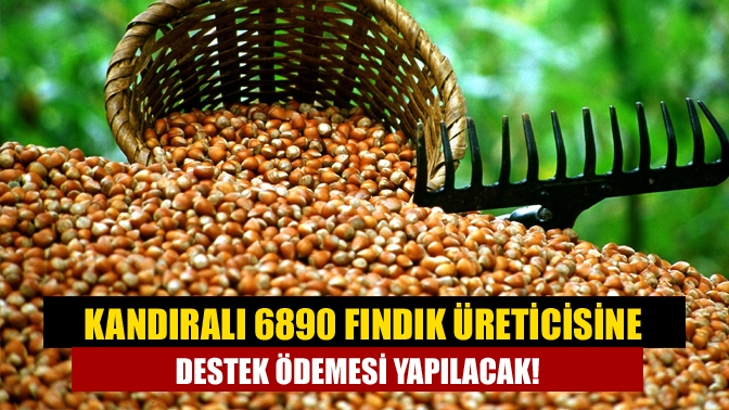 Kocaeli İl Tarım ve Orman Müdürlüğü, fındık üreticilerine yönelik destek